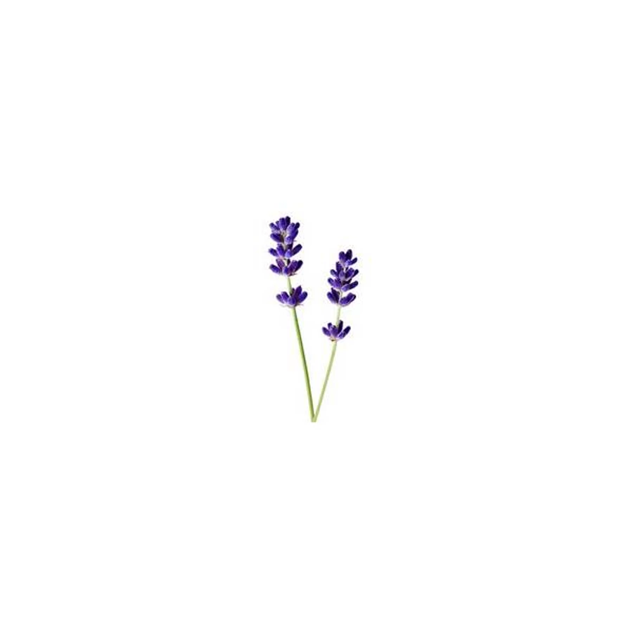 LEVENDULA 10 ml